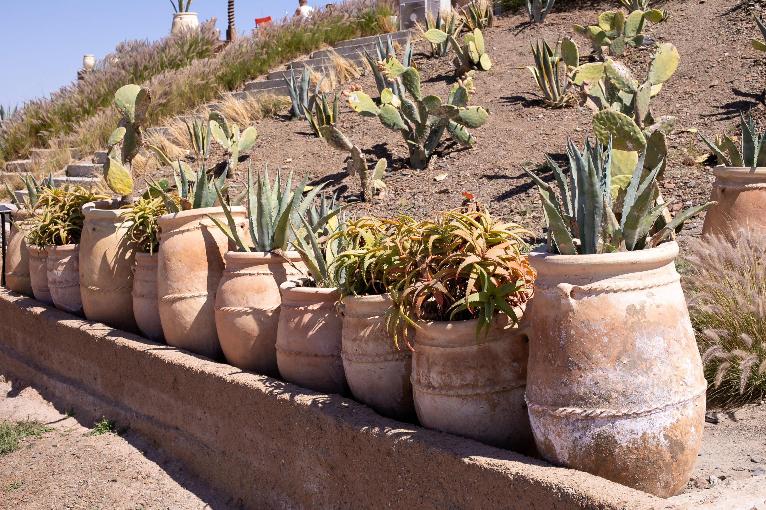 Marrakech, the ocher city